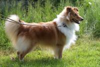 Edmont z Lomu ve Skále