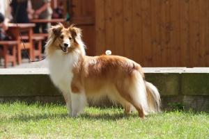 Eleanor z Lomu ve Skále