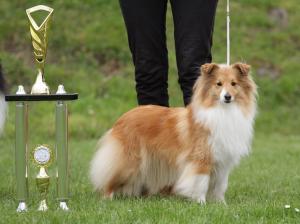 Elizabeth z Lomu ve Skále