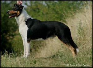 Natalain Diamond of Bila Kaifa