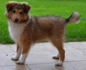 MORTEN GOLD z Vesničky u hranic