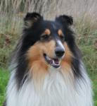 Garry Black Fredina Agi