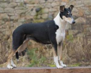 Argentína Like a Wind