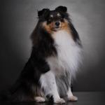 Archibald z Diouškova ráje