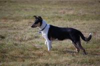 Aada Dvůr Bažantnice