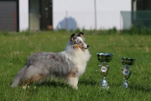 Kassandra Moravské srdce