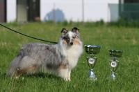 Kassandra Moravské srdce