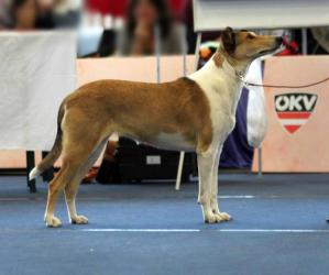 Mighty's Spring Meadow Linn Luned