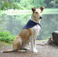 Ellen Krásná Louka