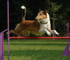 First Krásná Louka