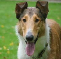 First Krásná Louka