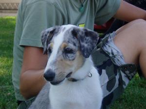 En Ten Týky Nirreterrit