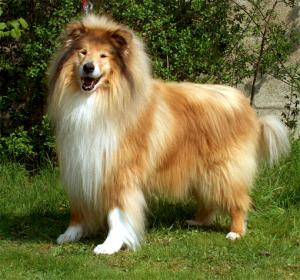 Kintyre's Imperial Item