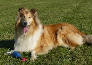 Doris Karino Bohemia