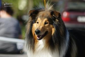 Keep Cool African Gold