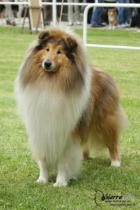 Fill Královský Dar