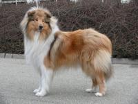 Quo Vadis African Gold