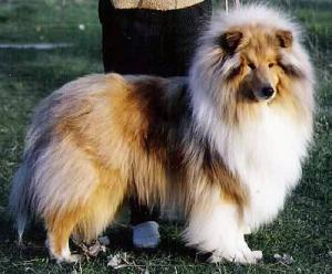 Glen Morristone's Hope Sweet Love