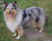 Bianka Z Dančí Louky