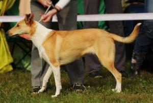 Karolína Krásná Louka