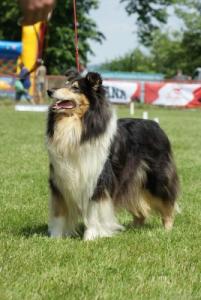 Very Black Angel Della Cambianella