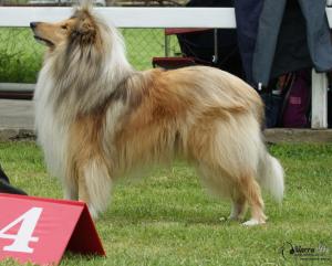 Cacahuete Lago Benea
