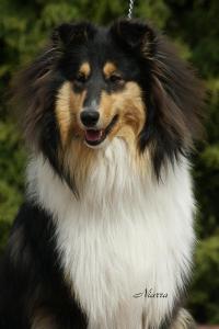 Connaissance Lago Benea