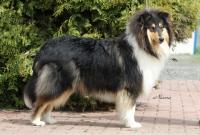 Connaissance Lago Benea