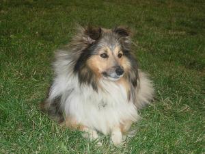 Daisy Gold Smaal Kim