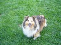 Daisy Gold Smaal Kim