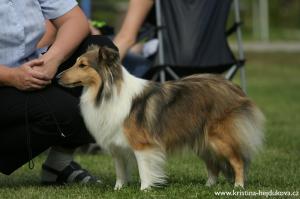 Kessy z Josefovské pevnosti