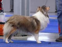 Kessy z Josefovské pevnosti