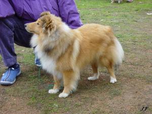 Emily Endless Smaal Kim