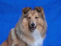 Emily Endless Smaal Kim