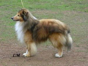 KERRY KIM z Ďáblovy studánky