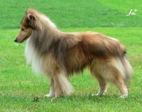 KERRY KIM z Ďáblovy studánky