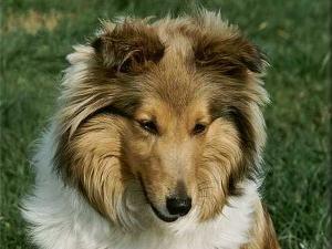 BESY u Císařské cesty