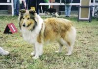 BESY u Císařské cesty