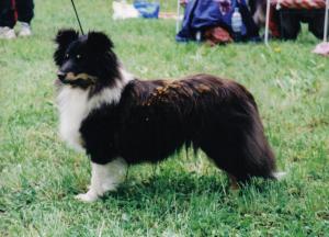 ORCHIDEA BLACK  z Ďáblovy studánky