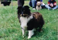 ORCHIDEA BLACK  z Ďáblovy studánky