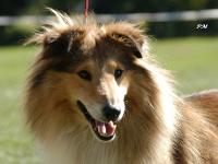 Tootsie ze Souhvězdí Orionu