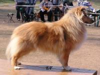 Elliot Golden Fleece du Clos des Eperviers