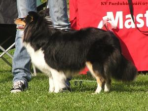 Holly Želečské vrchy