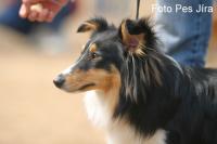 Holly Želečské vrchy