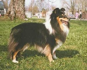 Lundecock's Touch My Soul