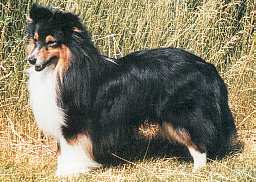 Ruscombe Play The Piper