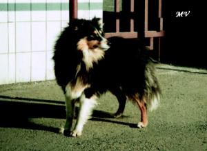 KRISTIÁN ze Souhvězdí Orionu CS