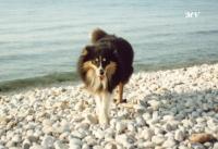 KRISTIÁN ze Souhvězdí Orionu CS