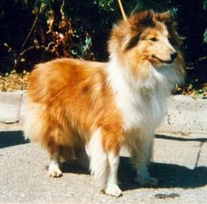 NEMESIS z Ďáblovy studánky