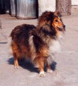 Romy z Vesničky u hranic CS